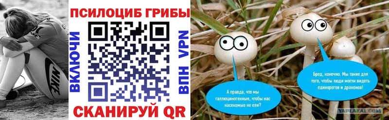 продажа наркотиков  Терек  Псилоцибиновые грибы Psilocybe 