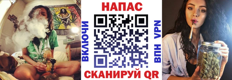 Каннабис конопля  Терек 